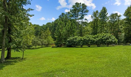 75-web-or-mls-DJI_0098