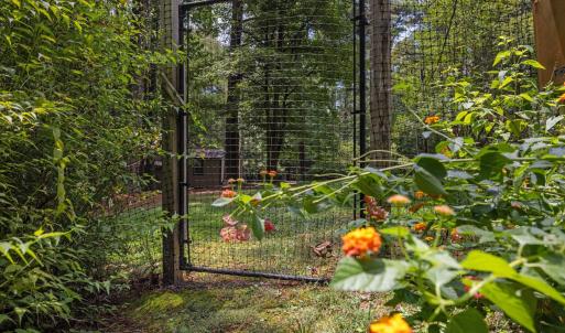 24-web-or-mls-5Z8A8040