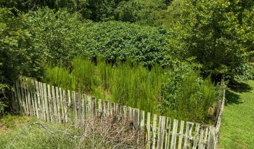 80-web-or-mls-DJI_0105