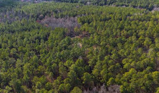 17745803230619084319614023565654