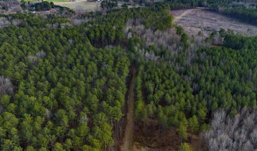 17745804172091079831388193890843