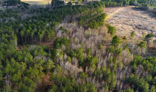 17745804492235187209615782228980