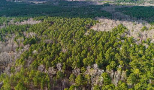 17745804760743348203374346231121