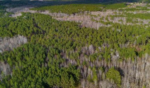 17745804919083598315649973995503