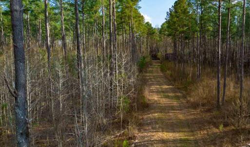 17745805030105912840804993879774