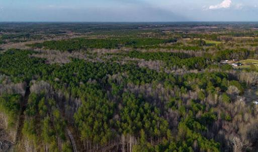 17745805237471501240556077048382