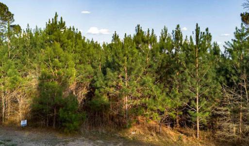 17745806491704901808104863141536