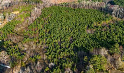 17745807047299206419300956451279