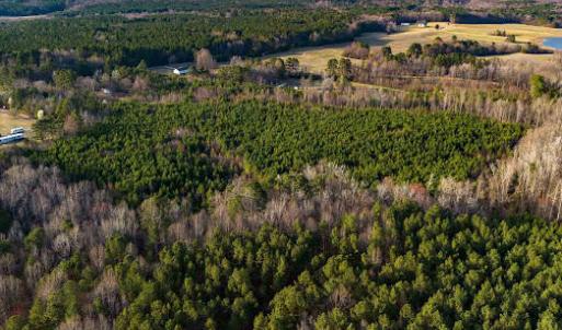 17745807161201926240682221020287