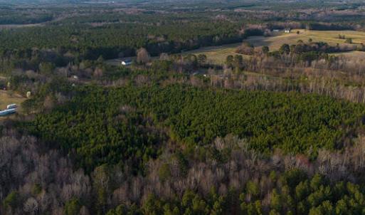 17745807717462042641470250329771