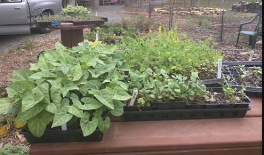 04b774e8-5703-4685-bf33-aa2f13da44ca