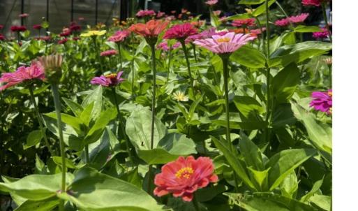 176c4e7a-cb62-4327-956a-3f0846fc0e9a