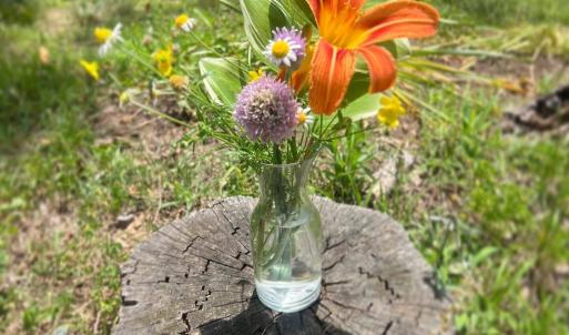 445369566_17843706690237294_857809500533