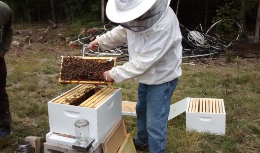 IMG_20170911_132429945