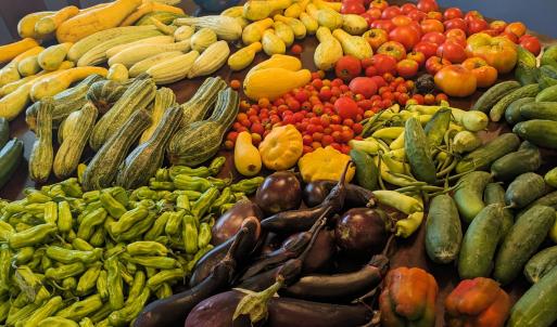 PXL_20230718_110812624