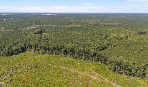 2-web-or-mls-DJI_20230826115456_0345_D