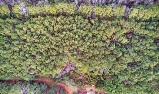 23-web-or-mls-Kendall Lane-Lot C (23 of