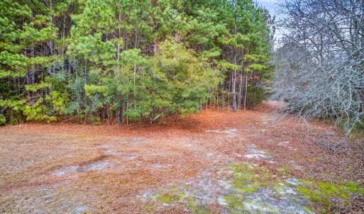 7-web-or-mls-Kendall Lane-Lot C (7 of 24