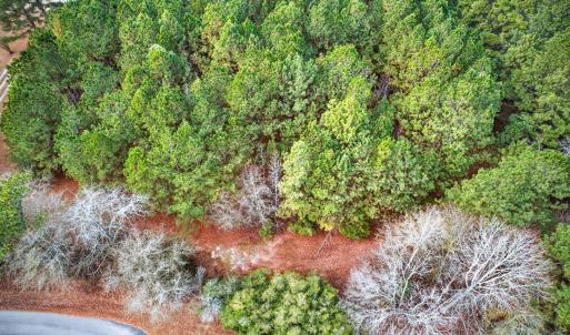 5-web-or-mls-Kendall Lane-Lot C (5 of 24