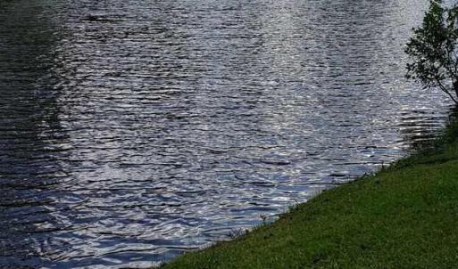 20230808114004750808000000-o