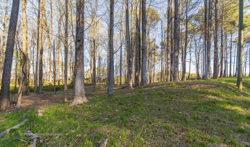 Leesville Land8