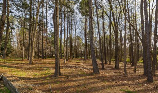 Leesville Land2