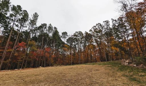 PXL_20221029_144911145