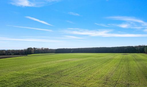 26-web-or-mls-DJI_0895