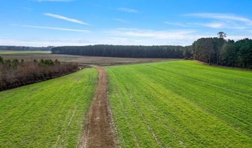 3-web-or-mls-DJI_0870