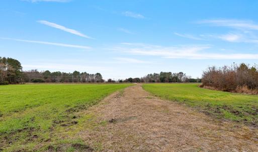 6-web-or-mls-P1331295