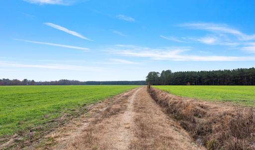 10-web-or-mls-P1331250