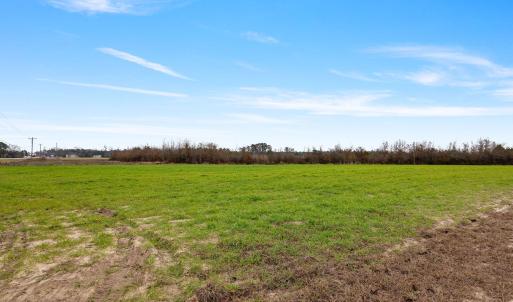 11-web-or-mls-P1331325