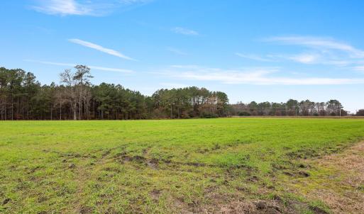 12-web-or-mls-P1331300