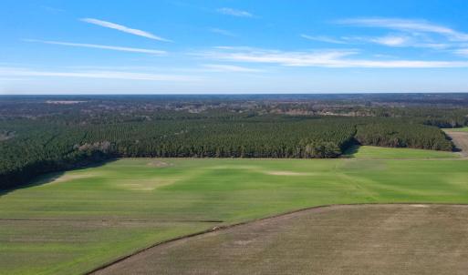 22-web-or-mls-DJI_0891