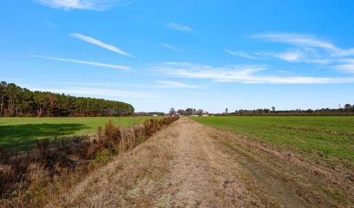 31-web-or-mls-P1331185