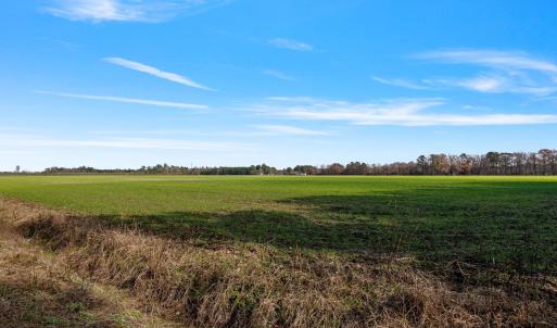 33-web-or-mls-P1331215