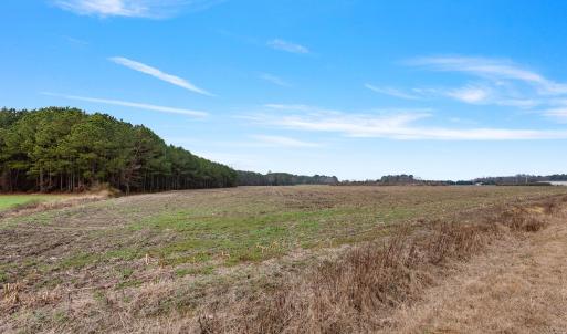 37-web-or-mls-P1331240