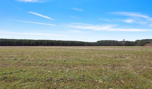 39-web-or-mls-P1331260