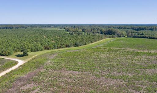 DJI_0562