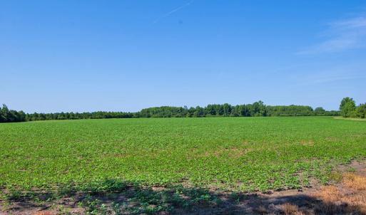 Photo #24 of 1 Nc Highway 33, Tarboro, NC 278.8 acres