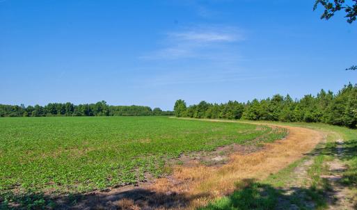 Photo #3 of 1 Nc Highway 33, Tarboro, NC 278.8 acres
