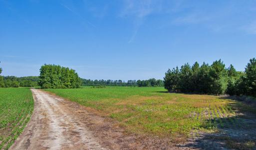 Photo #4 of 1 Nc Highway 33, Tarboro, NC 278.8 acres