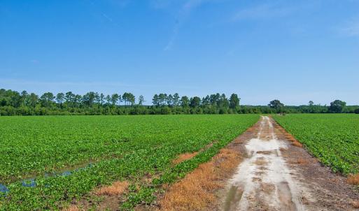 Photo #8 of 1 Nc Highway 33, Tarboro, NC 278.8 acres