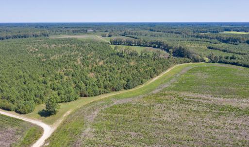 DJI_0563