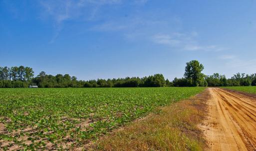 Photo #20 of 1 Nc Highway 33, Tarboro, NC 278.8 acres