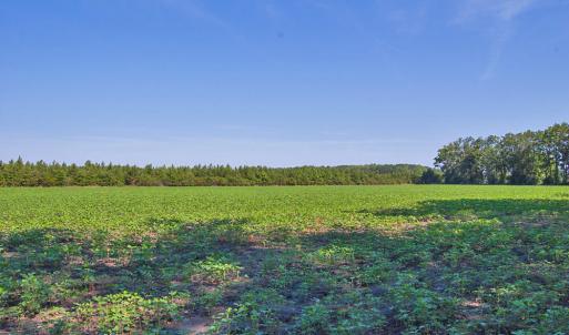Photo #40 of 1 Nc Highway 33, Tarboro, NC 278.8 acres