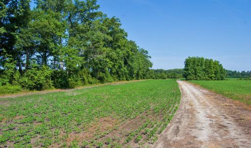 Photo #16 of 1 Nc Highway 33, Tarboro, NC 278.8 acres
