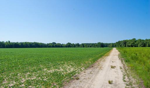 Photo #13 of 2 Nc Highway 33, Tarboro, NC 404.3 acres