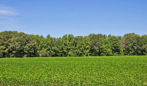 Photo #18 of 2 Nc Highway 33, Tarboro, NC 404.3 acres