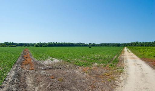 Photo #37 of 2 Nc Highway 33, Tarboro, NC 404.3 acres